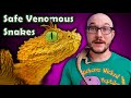 Top 5 DEADLY Venomous Snakes and The Close Alternatives That Wont Kill You!