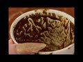 Libra Hope Is Stronger Than Fear — Here’s Proof Coffee Cup Reading