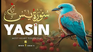 Download lagu Relax Your Heart & Sleep Peacefully | Ultimate RELAXING Quran to Ease Your Soul | Zikrullah TV