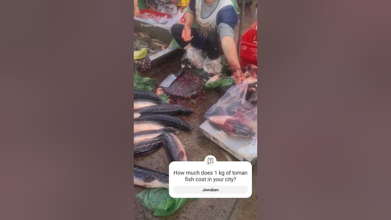 how-much-does-1-kg-of-toman-fish-cost-in-your-city-shorts-fishmarket