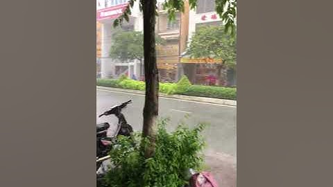 Một buổi chiều mưa tầm tả / Cà Mau quê tôi..