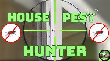 Hunting one of the most destructive household pests in America!