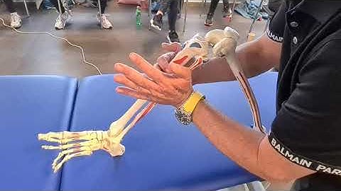 Knæ MWM IR demonstration på skelet