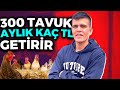 300 TAVUK AYLIK KAÇ PARA KAZANDIRIR ? 17.500 ₺’ye Kendi İşinin Patronu Ol 2