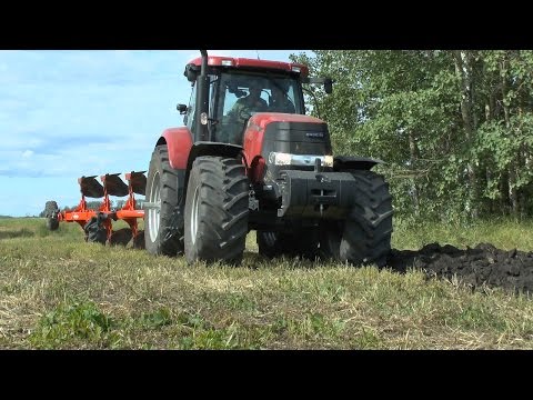 Video: Kuinka peruutan 2/10 kotitakuuni?