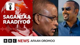 Adeemsi mootummaa fi TPLF walitti fiduu eegale faara qabaa? I BBC News Afaan Oromoo