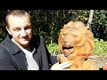 7 серия, Приморский сафари парк, Парк львов, Перегон из Владивостока