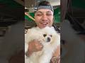 Dogs Then vs Now at dog daycare!