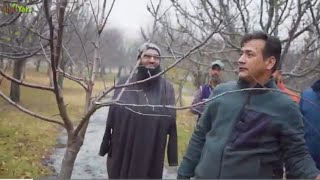 Kashmir Pruning Camp Apple Tree Pruning