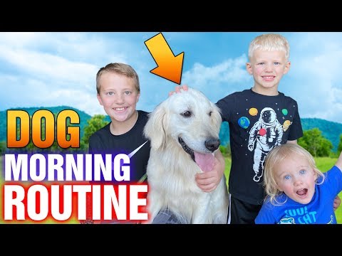 Puppy Morning Routine || Family Fun Pack Hana