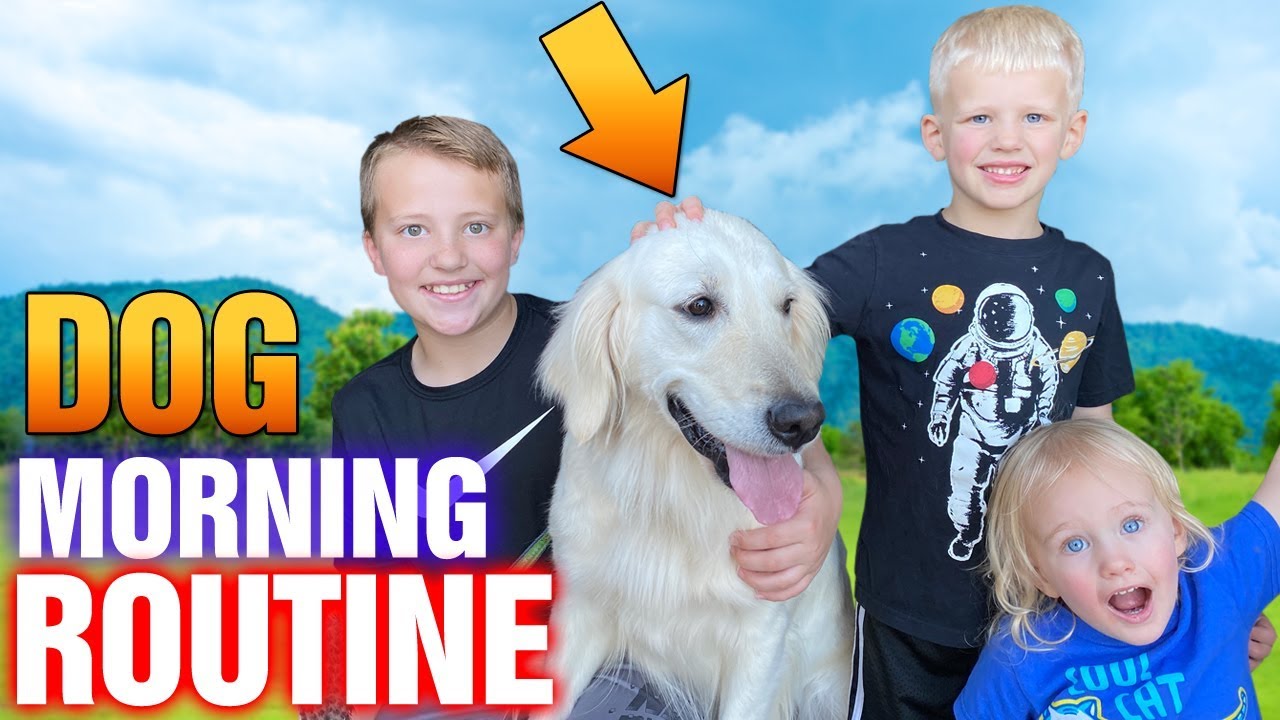 Puppy Morning Routine Family Fun Pack Hana YouTube