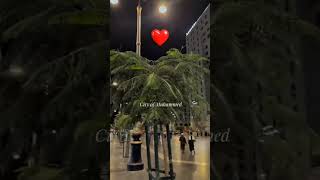 Everyone Falls in Love with Madinah... ✨City of Muhammad ﷺ |