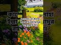 কালেমা-লা ইলাহা ইল্লাল্লাহু মুহাম্মাদুর রাসুলুল্লাহ সাঃ #shorts