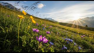 1 HOUR of High Alpine Wind Sounds 🌬️ | Mountain Ambience for Deep Sleep, Study &amp; Relaxation
