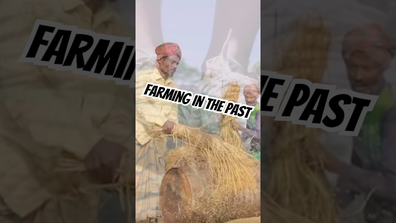 What Did FARMING Look Like 100 Years Ago? 