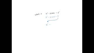 The anticodon sequence of phenylalanine-specific tRNA is 5'GAA-3' (note that this is written 5' to …