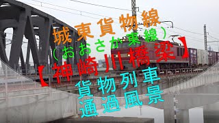 城東貨物線（おおさか東線）【神崎川橋梁 貨物列車通過風景】