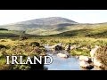 Irland: Die grüne Insel im Atlantik - Reisebericht