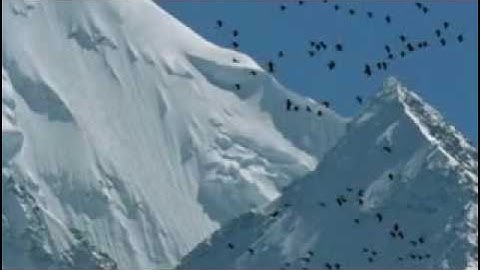 وديع شاكر, تلاوة ممتعة لسورة التين من مراكش wadii chakir