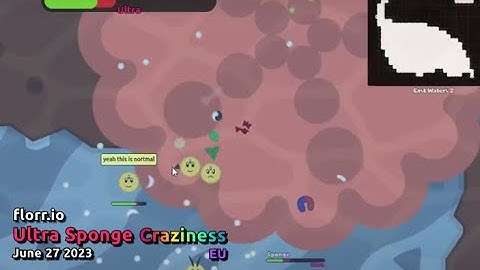 Florr.io - Ultra Sponge Craziness
