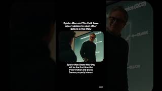 Spider-Man and The Hulk have never spoken to each other before in the MCU (Spider-Man Brand New Day)