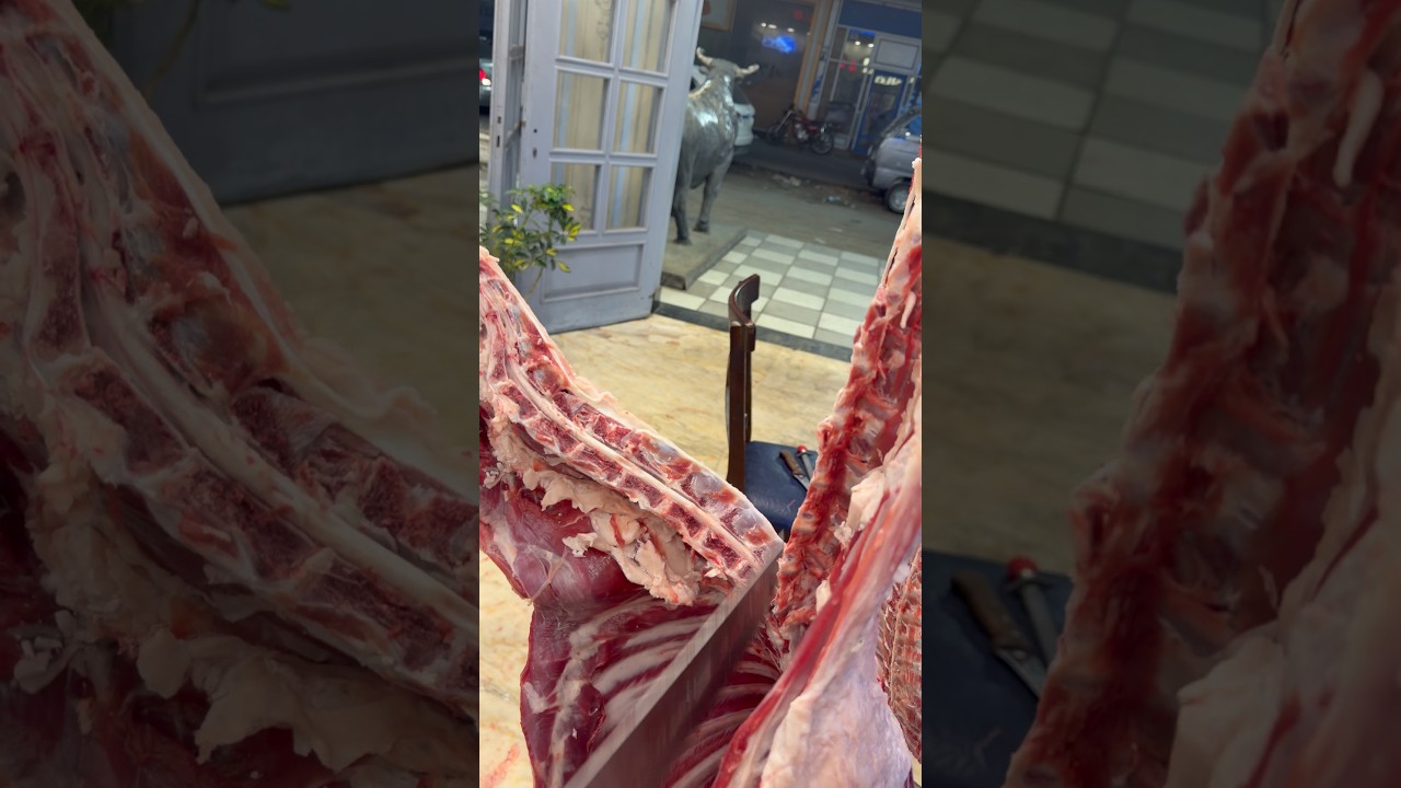 شط خروف 🐏 لحمه مرسي مطروح اعمل متابعه بالحب عشان تشوف الجديد #عيدسينالاللتقليد