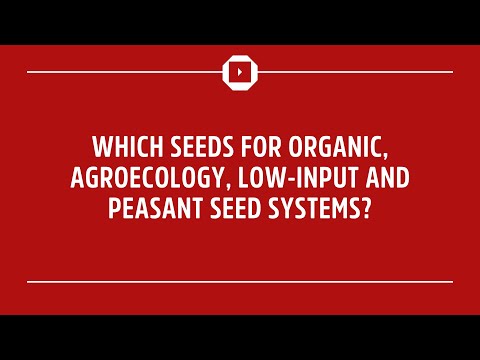 Video: Kā apomiktiskās sēklas ir noderīgas lauksaimniekiem?
