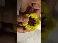 crochet sunflower hairband