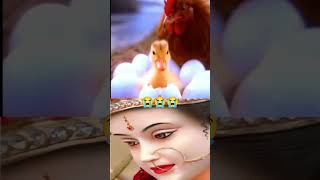 Short Video#Shorts #Nature #Emotional #Indian beauty #Trending #Viral shorts #Duck #Cute video