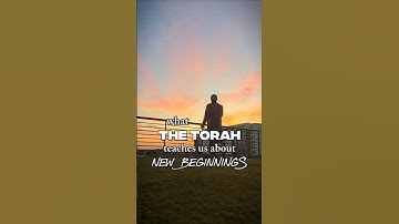 We Begin Again With In the Beginning | Parashat Bereshit | New Torah Cycle