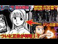 【ハンターハンター考察】シーラ徹底解説！怪しい正体がついに判明？パリストンの妹・ゴンの母親？流星街の刺客や元旅団説も！【HUNTER×HUNTER】