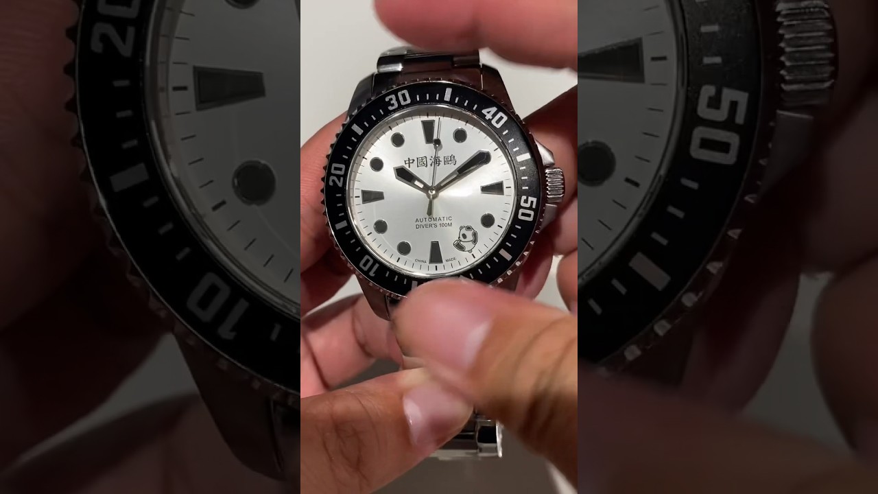 Sea-Gull Dive Watch: Rolling Panda. The Waves Behind Series. Ref.816.17.1066  后浪系列 · 翻滚熊猫