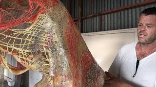 PATRICK SHIELDS STUDIO VISIT Information