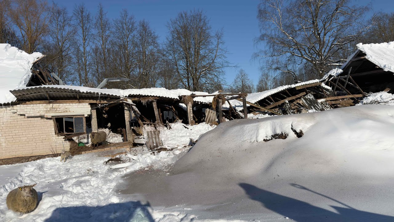 2026 Winter#19 Sugriuvo tvartas, agroteka skyrė milžinišką baudą už pukštuvą