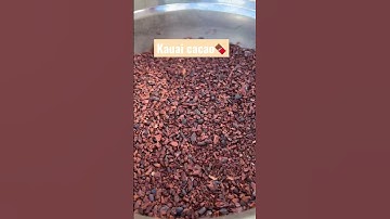 Kauai cacao beans. Roasted. Cracked through Champion Juicer. Winnow with a hair dryer. High tech…