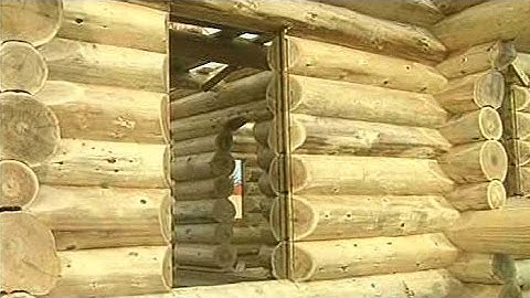 Building log cabin: How to make window and door