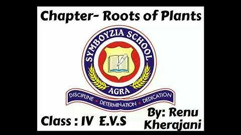 Class IV| Chapter - 7 | Roots of Plants| Sub - EVS| Renu Kherajani