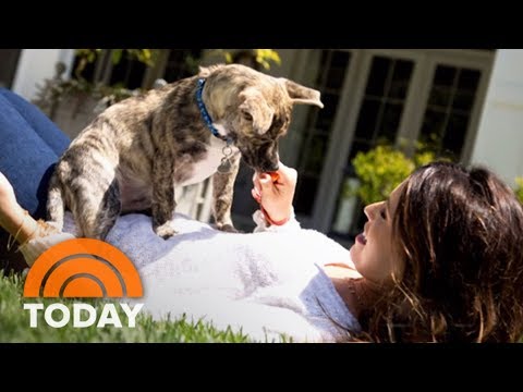 Katherine Schwarzenegger Talks