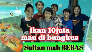 kedatangan 5 orang sultan ke Galery Ayulouhan