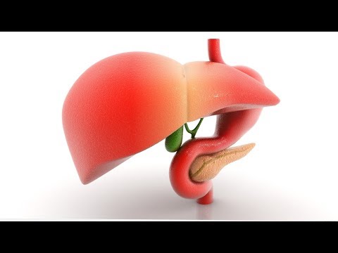 Video Xét nghiệm chức năng gan - youtube