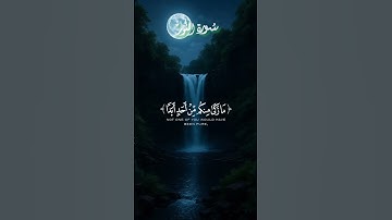 تلاوة خاشعة اية من سورة النور
