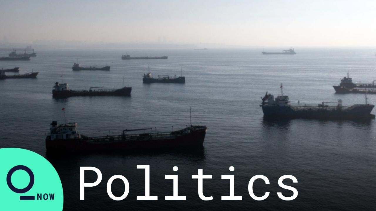 Russia Resumes Ukraine Grain-Export Deal in Abrupt Reversal