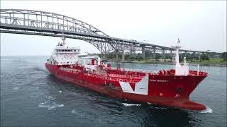 IVER BRIGHT - Downbound Port Huron, Michigan 6-6-2025