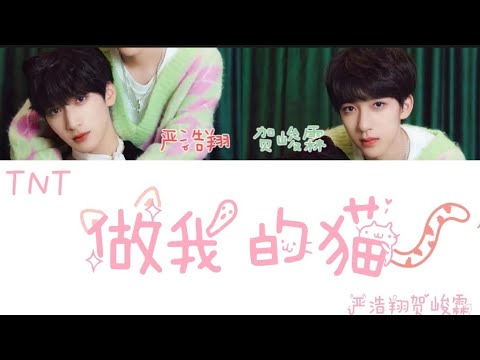【时代少年团】严浩翔贺峻霖双人舞台《做我的猫》cover 认人向歌词版