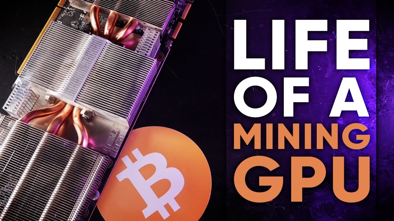 Mining life