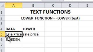 How to use LOWER function in Excel | Excel Tips