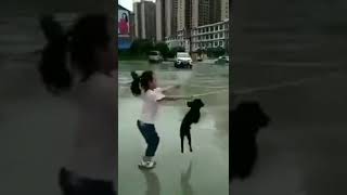 Menina E Cachorro Pulando Corda. Girl And Dog Jumping Rope