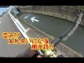 巨大雷魚入れ食い!! 延々と続く田んぼ脇の用水路は雷魚が大繁殖していた!!人食い怪魚５連発!!　snakehead fishing