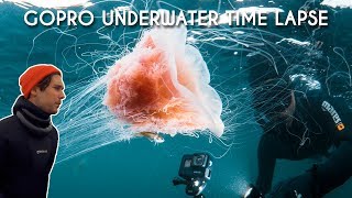 5 tips for GoPro underwater time lapses | Smögen Dyk &amp; Upplevelse