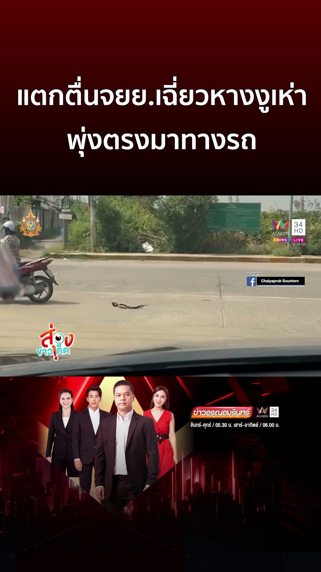แตกตื่นจยย. เฉี่ยวหางงูเห่าพุ่งตรงมาทางรถ | ข่าวอรุณอมรินทร์